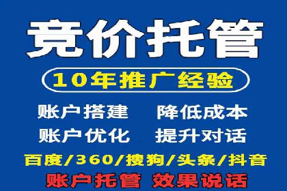 SEM托管优化案例深度解析